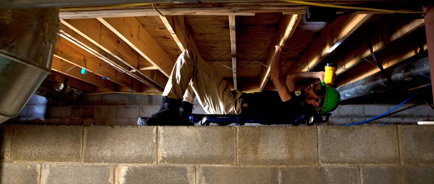 Downtown Philadelphia, PA mold removal