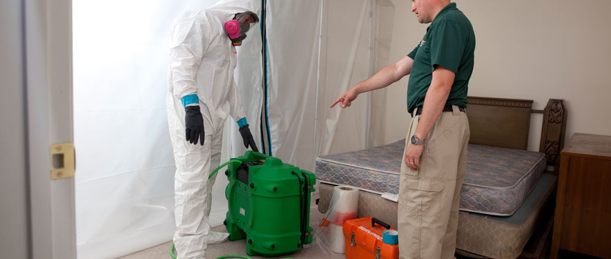 Downtown Philadelphia, PA mold removal process